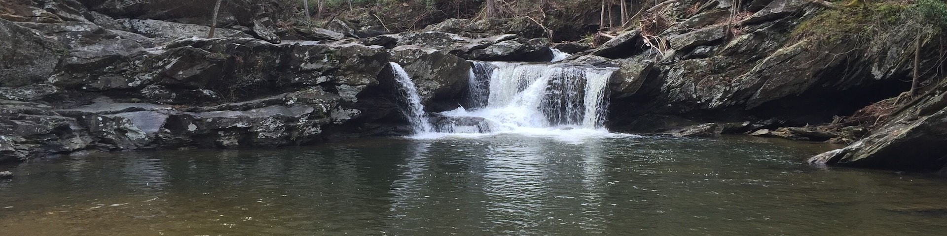 A waterfall in a forested area with rocky terrain and a calm pool at the base.