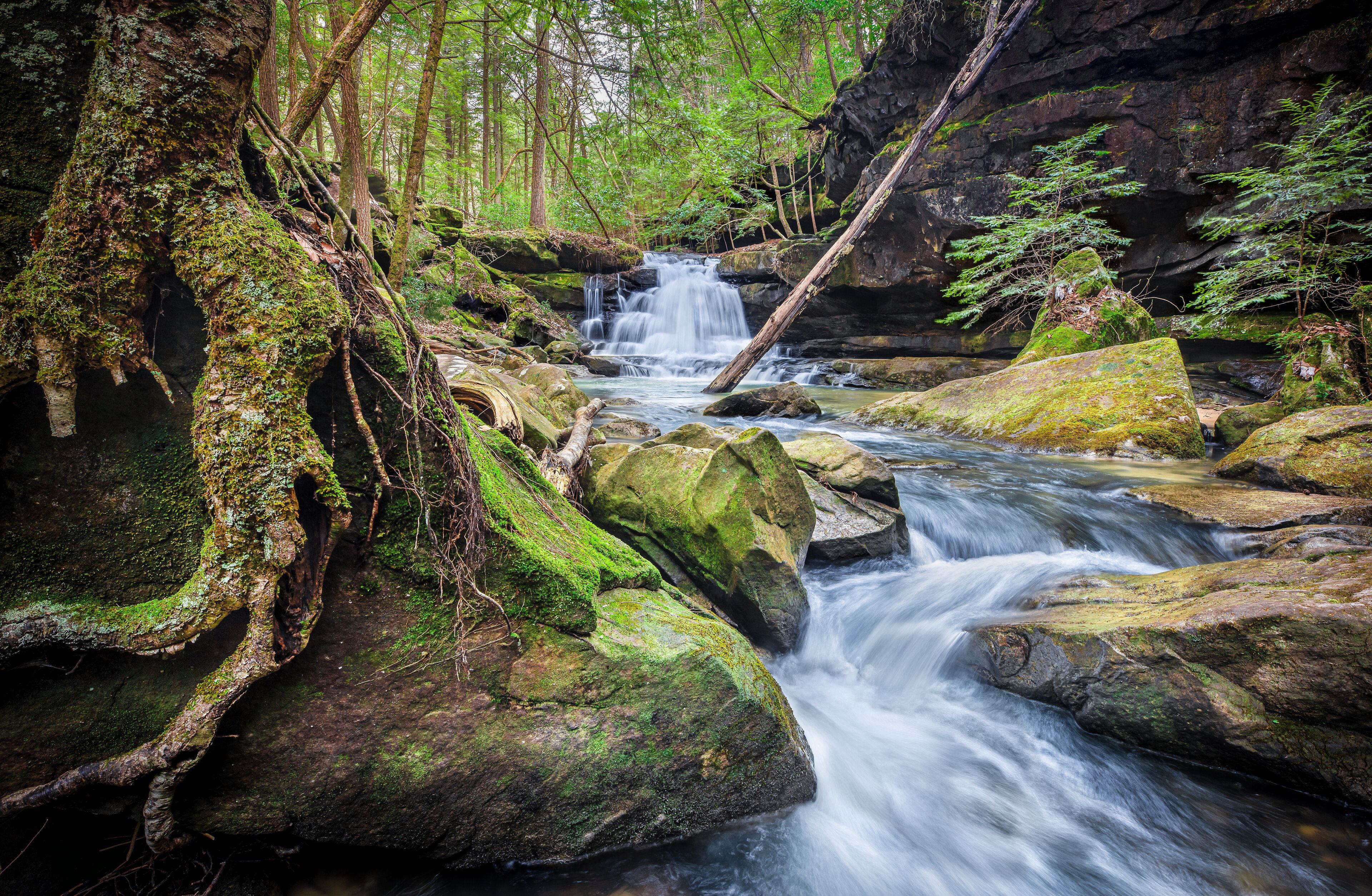 A forest stream with moss-covered rocks and a waterfall.