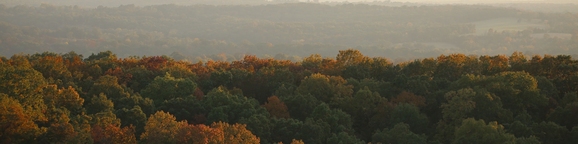 Fall at the backbone - Maries County Missouri