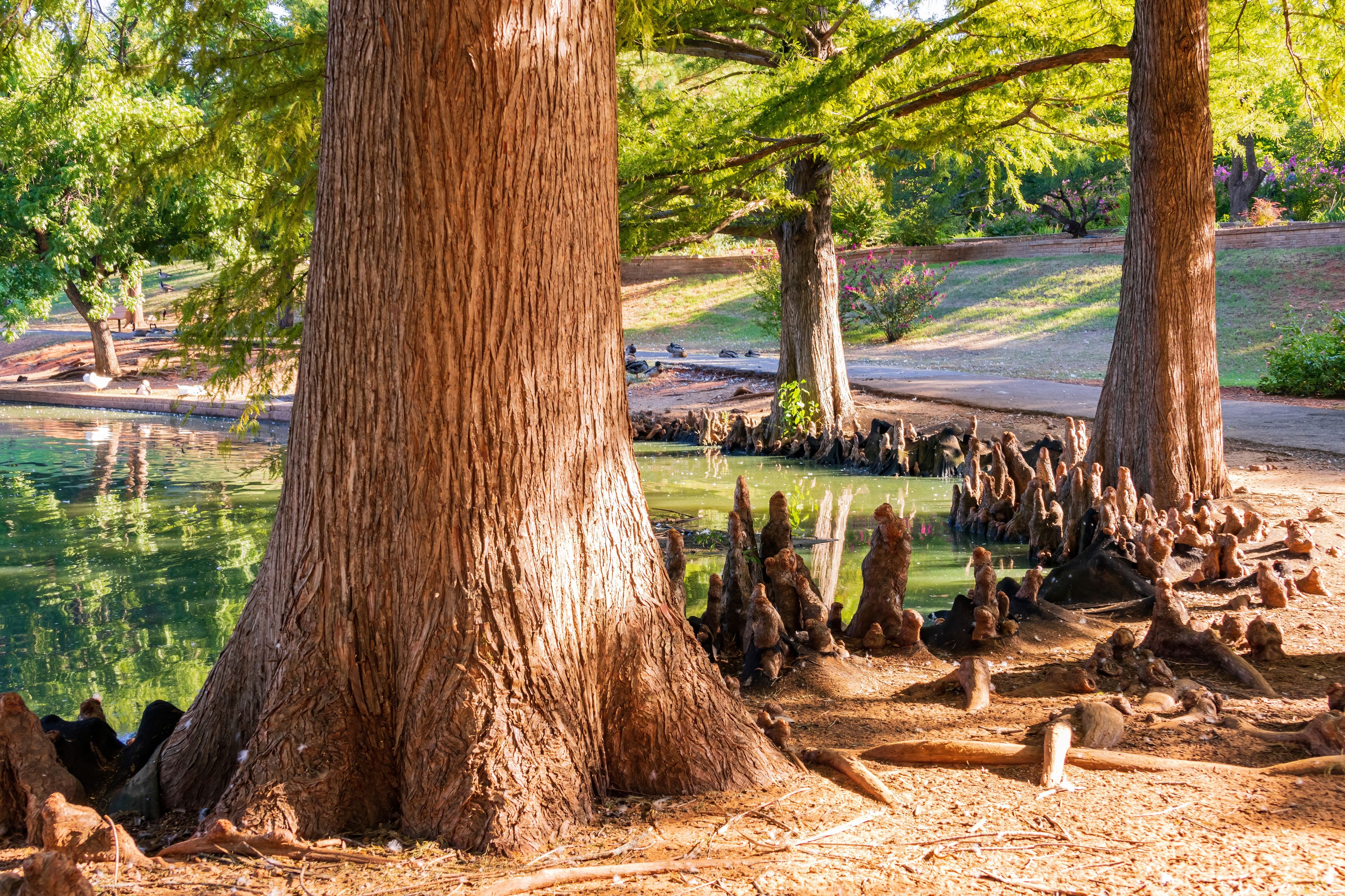 Sunny view of the landscape of EC Hafer Park