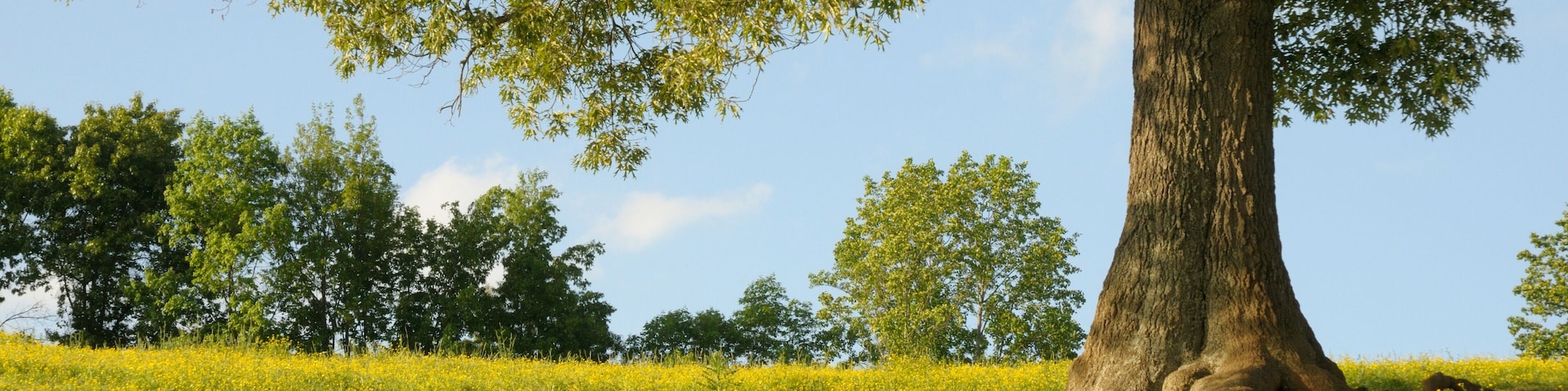 Country Scenic in Grainger County Tennessee USA.