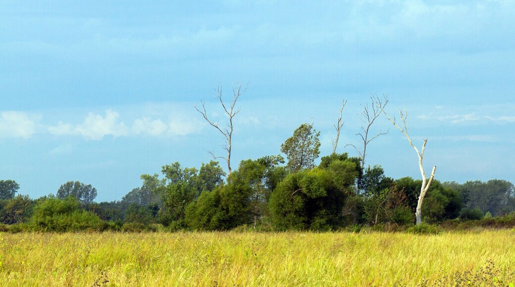 Flint Hills National Wildlife Refuge in Kansas