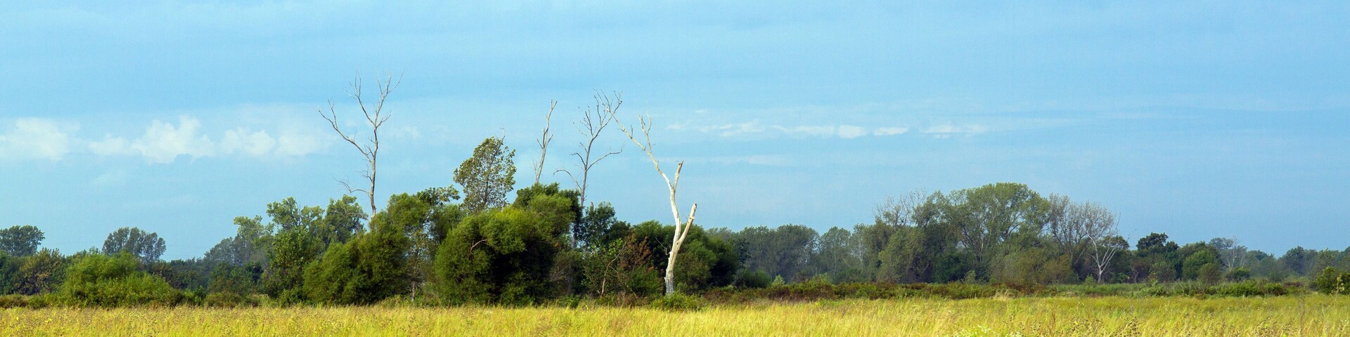 Flint Hills National Wildlife Refuge in Kansas