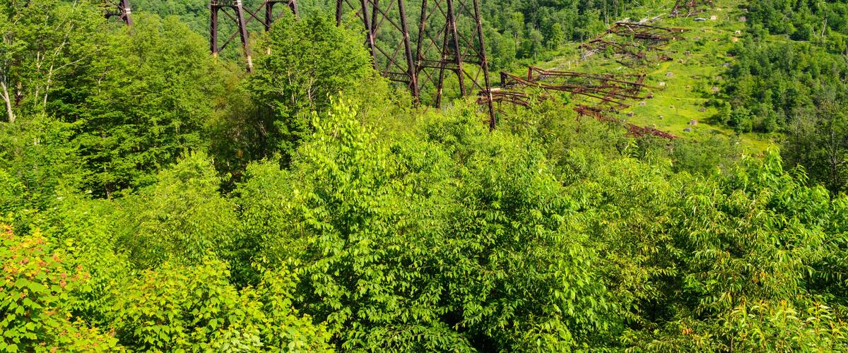 Kinzua Bridge State Park
