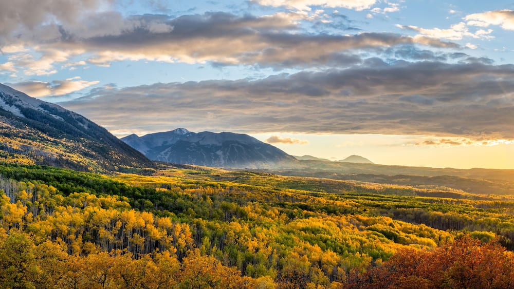 Golden Sunset Autumn colors at Kebler Pass in the Colorado Rocky Mountains - near Crested Butte on scenic Gunnison County Road 12 - Beckwith