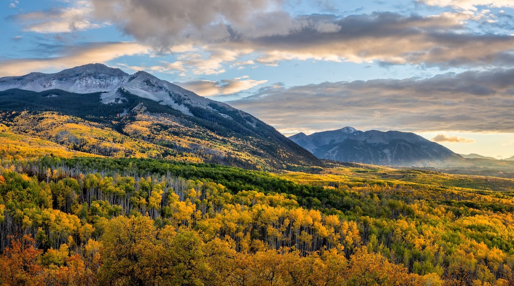 Golden Sunset Autumn colors at Kebler Pass in the Colorado Rocky Mountains - near Crested Butte on scenic Gunnison County Road 12 - Beckwith