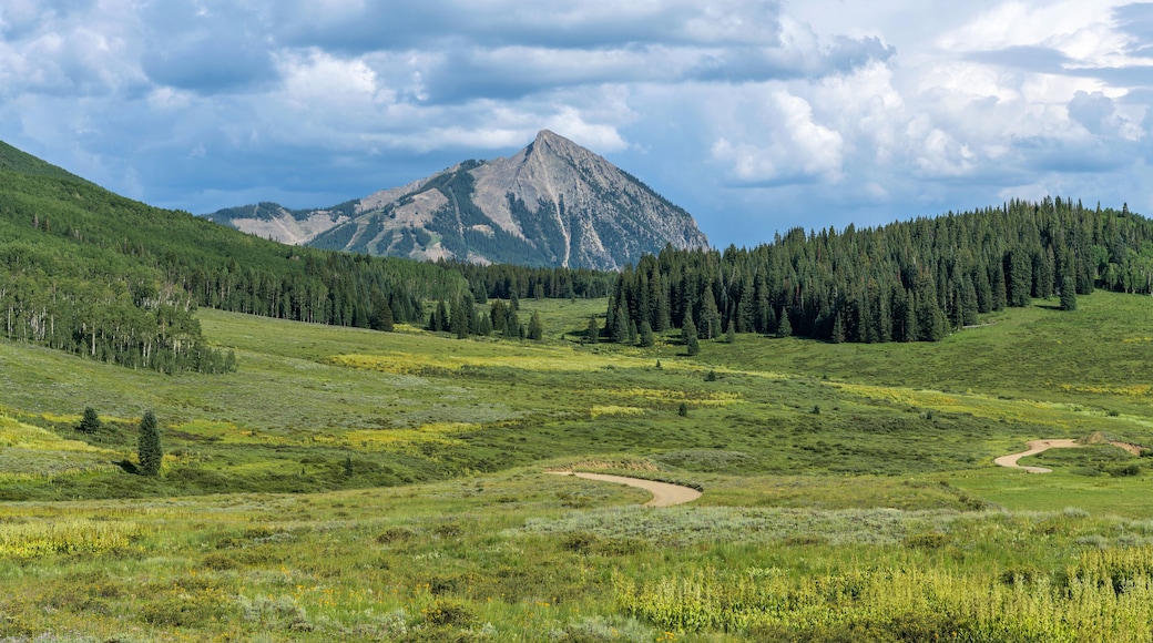 Mount Crested Butte - A Summer evening view of Mount Crested Butte. Crested Butte, Colorado, USA.