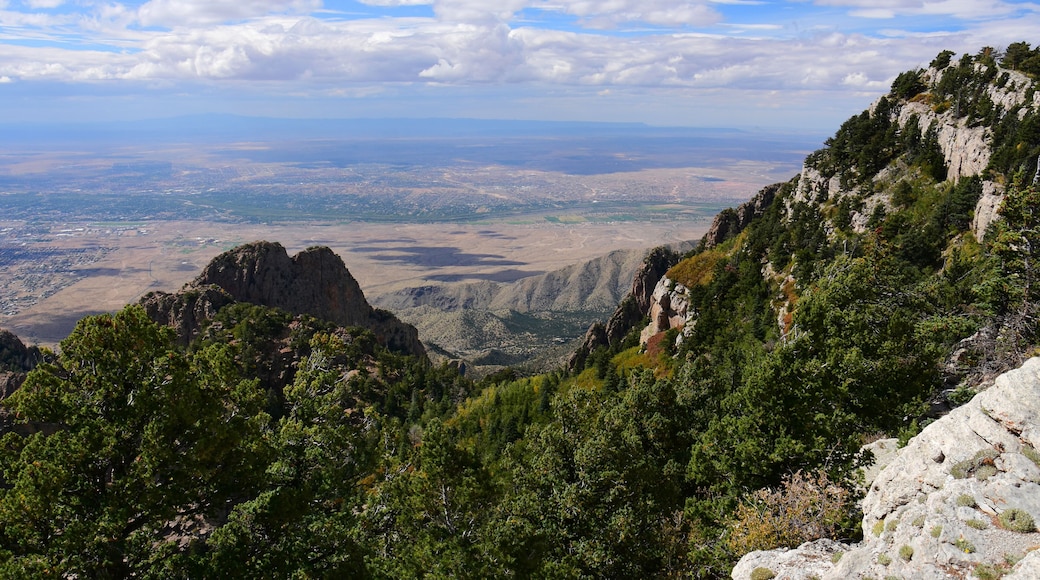 A mountainous landscape with dense forests, rocky outcrops, and a distant view of a valley.