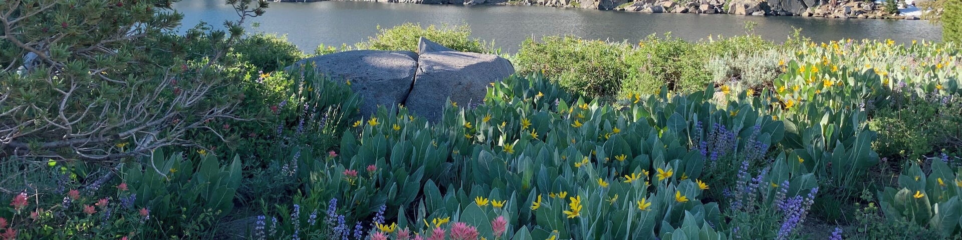 Spring in the high sierras, Winnemucca Lake in the Carson Pass area.
#hiking #camping #backpacking #nature