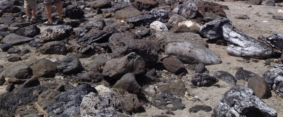 Spiral jetty - Robert smithson's environmental art piece is well worth the drive. Check the lake levels before venturing out or you may miss it.