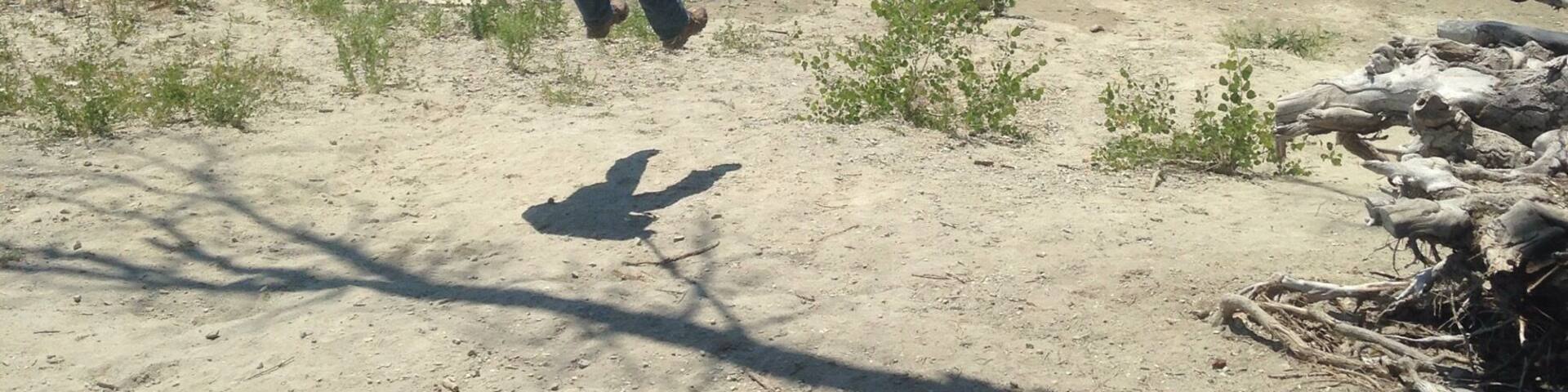 Small lake but lots of fun. Rope swing, which would be more fun if the water was higher. There is enough room to water ski, and several species of fish as well.