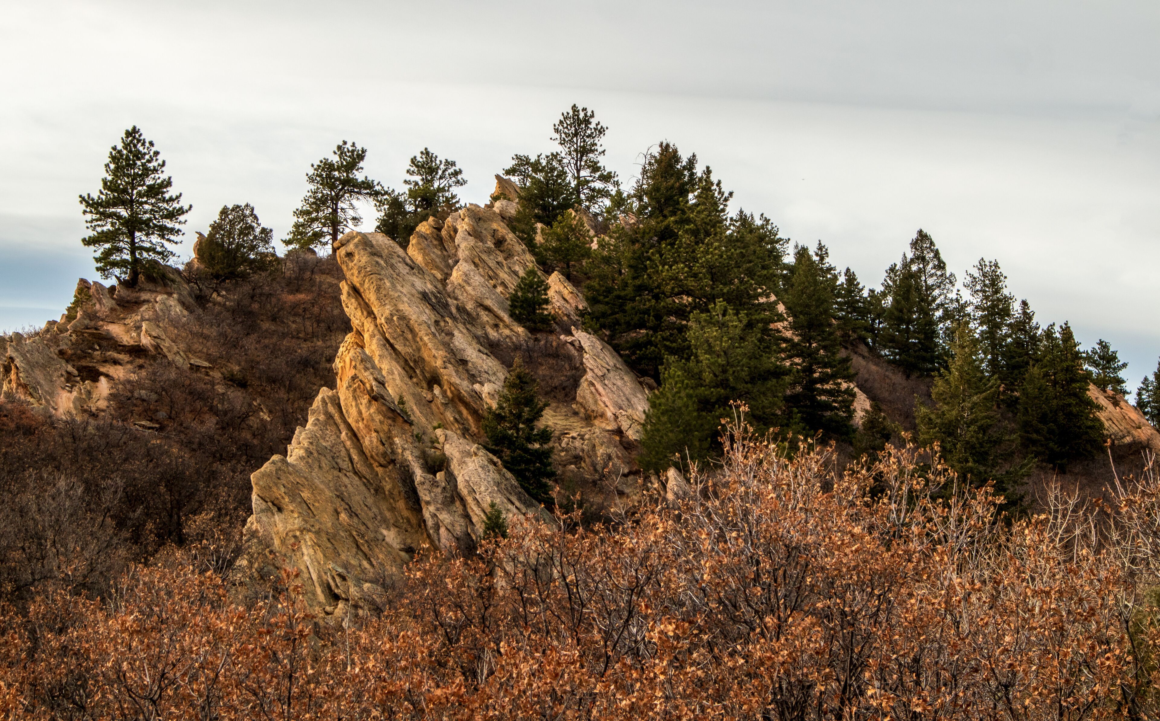 Beautiful red sandstone rock formation in Roxborough State Park, Denver, Colorado, at sunset.