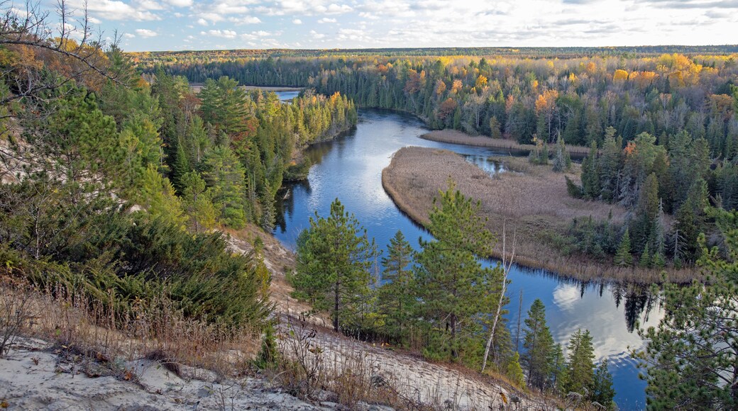 AuSable River - Foote Pond stretch - Huron National Forest - Iosco County Michigan - October 2025
