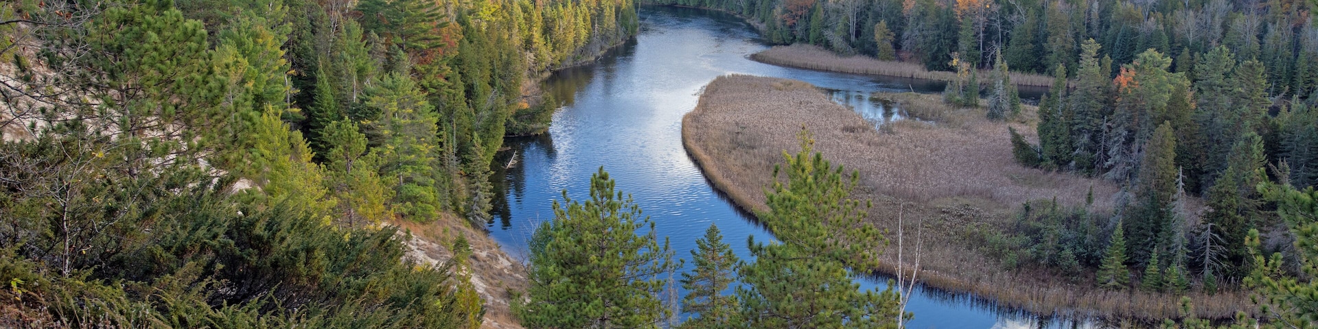 AuSable River - Foote Pond stretch - Huron National Forest - Iosco County Michigan - October 2025