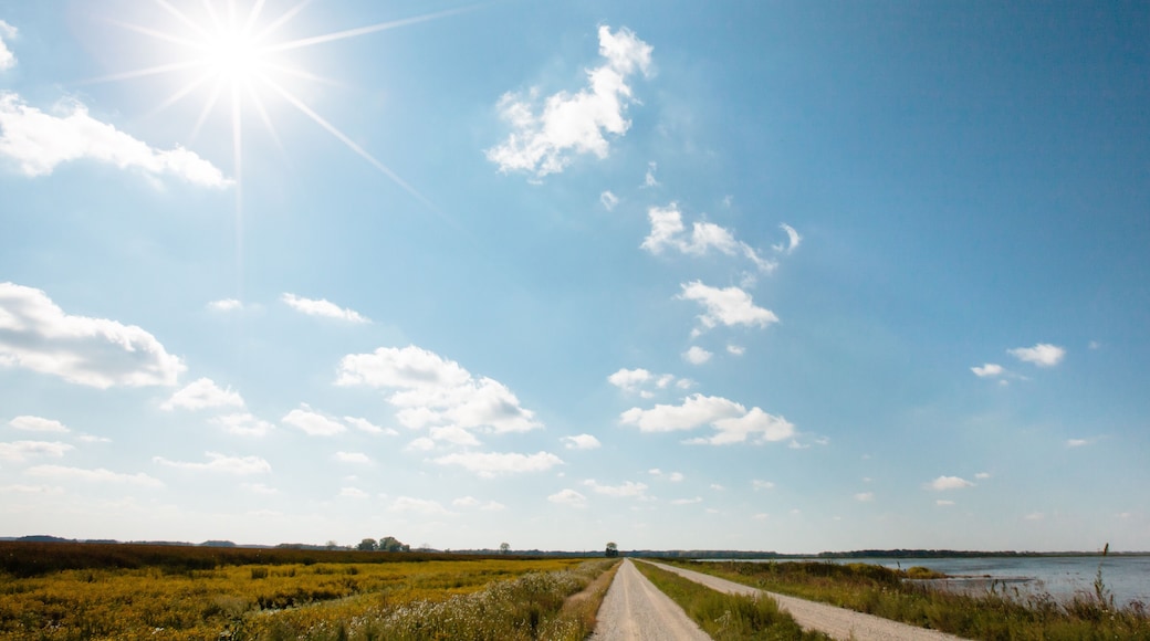 Une route de campagne menant Ă un plan dâeau sous un ciel dĂ©gagĂ©.