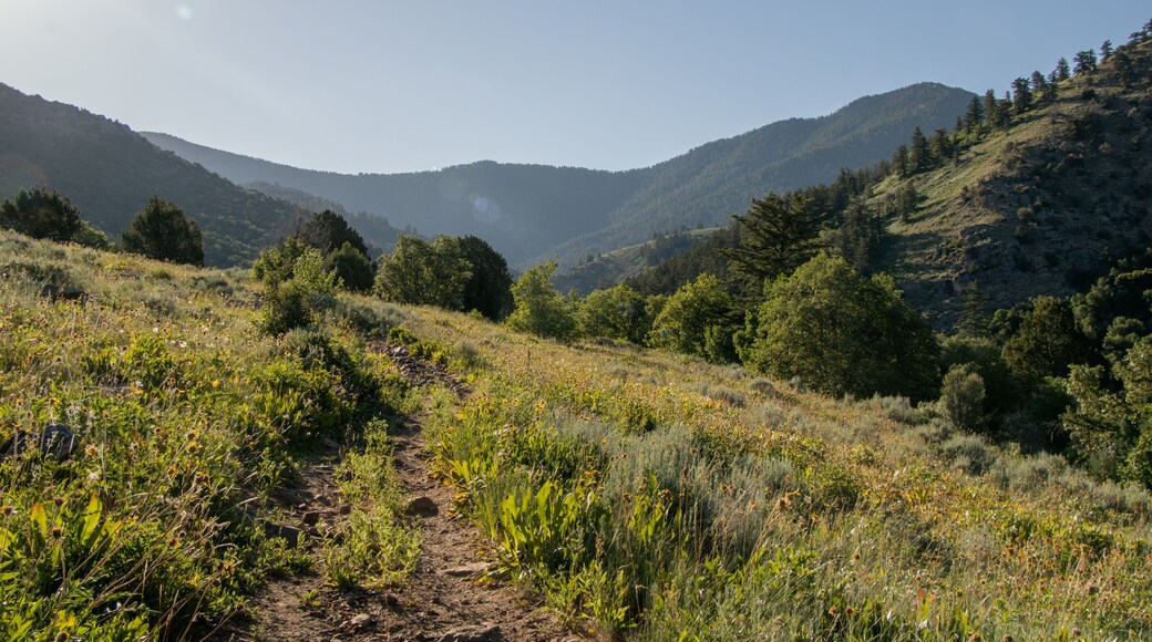 Summer Hiking Views of Maple Creek Spring Franklin County Idaho - Southeastern Idaho Travel and Outdoors