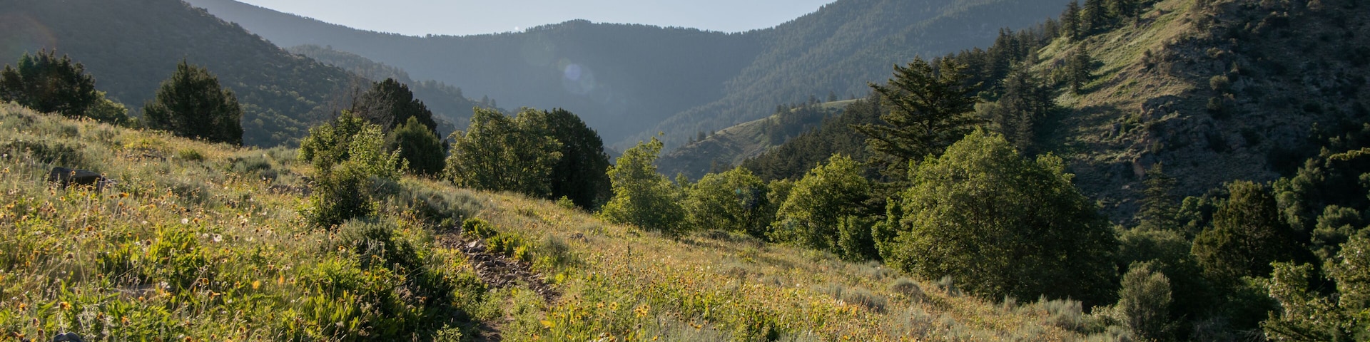 Summer Hiking Views of Maple Creek Spring Franklin County Idaho - Southeastern Idaho Travel and Outdoors