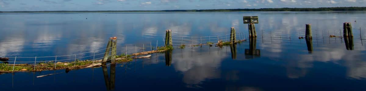 A calm lake with a clear blue sky and scattered clouds.