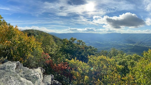 A mountainous landscape with dense foliage and a clear sky.
