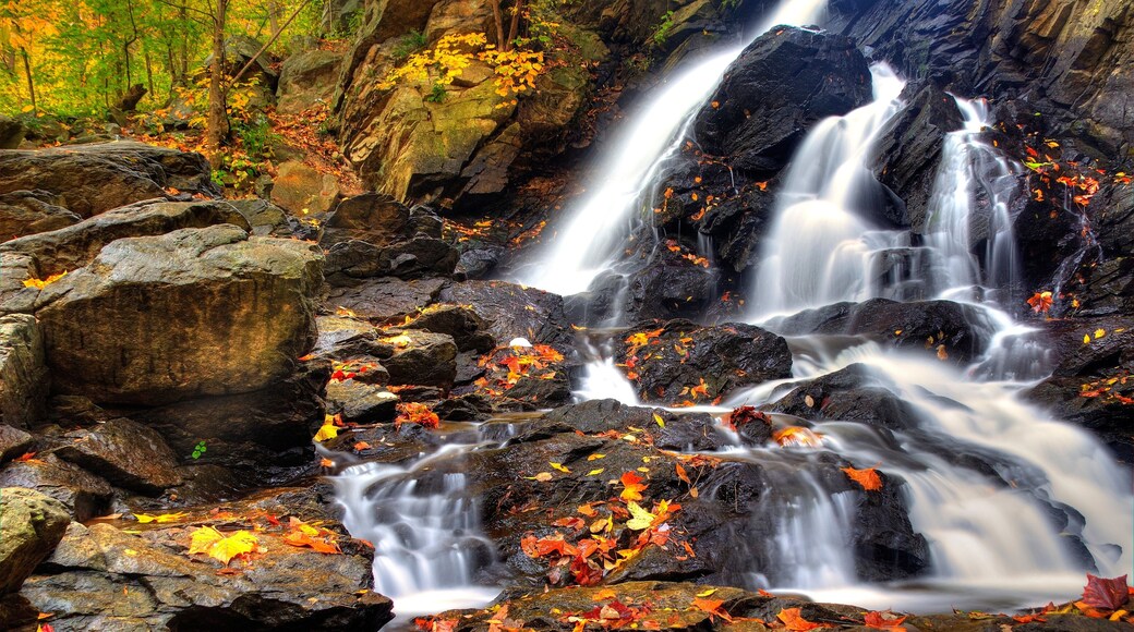 Piney Run Falls near Harpers Ferry West Virginia