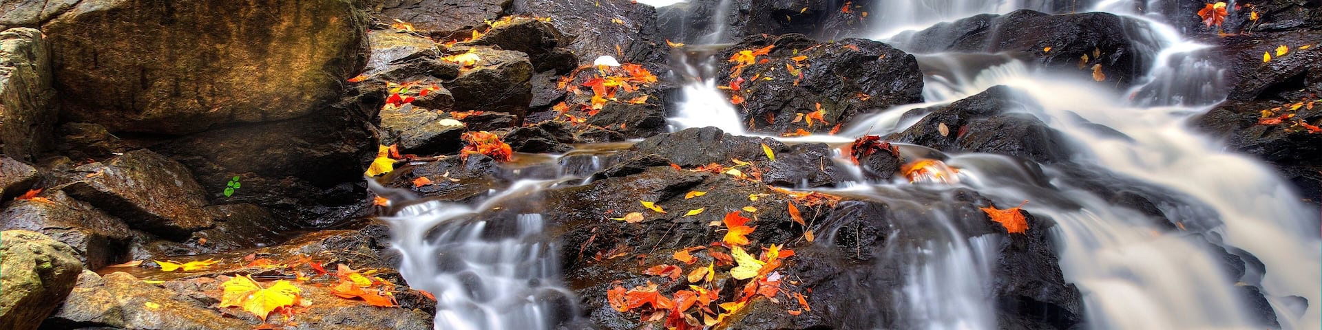 Piney Run Falls near Harpers Ferry West Virginia