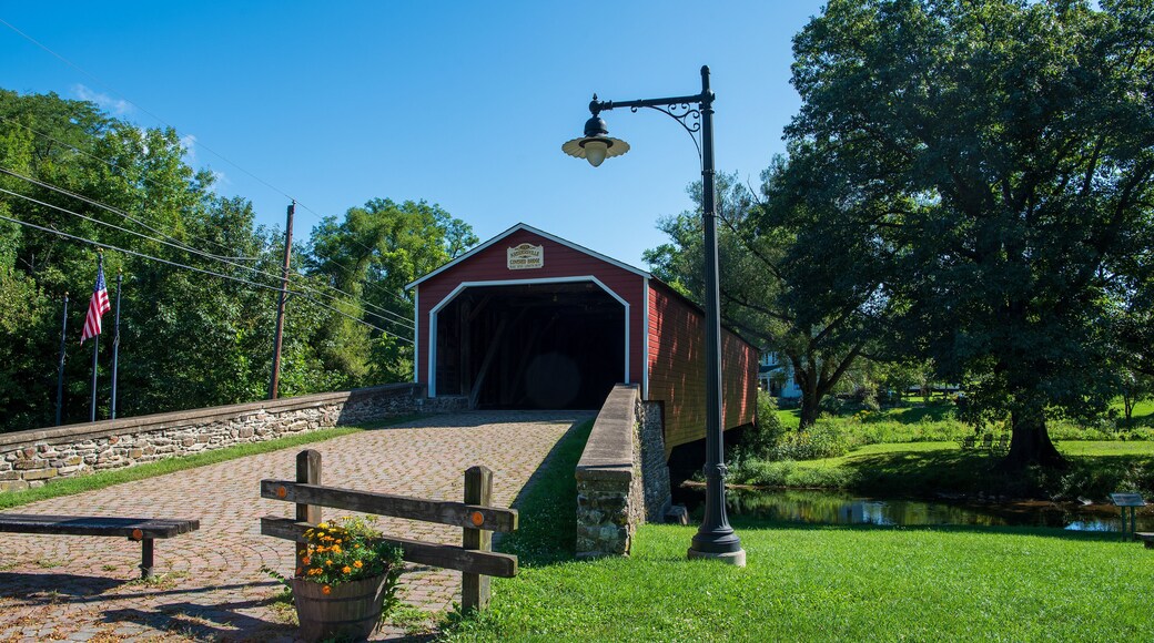 Comté de Northampton