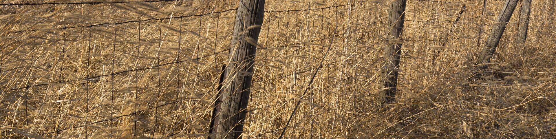 Old rustic barn in the rural Midwest on a windy Winter's day. Marshall County, Illinois, USA