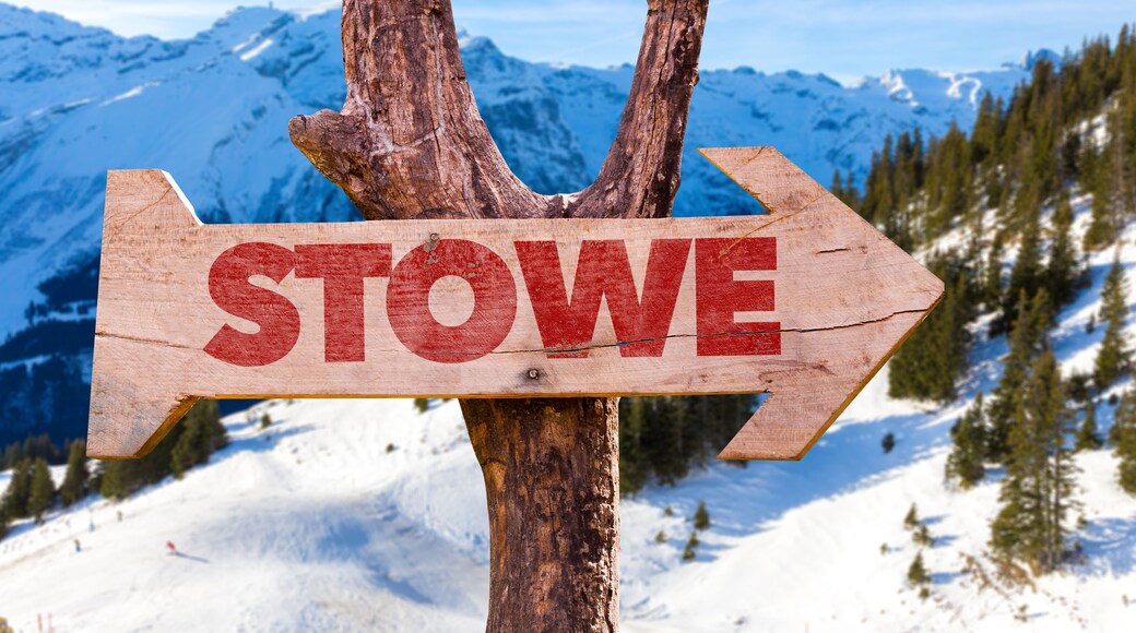 Stowe wooden sign with winter background