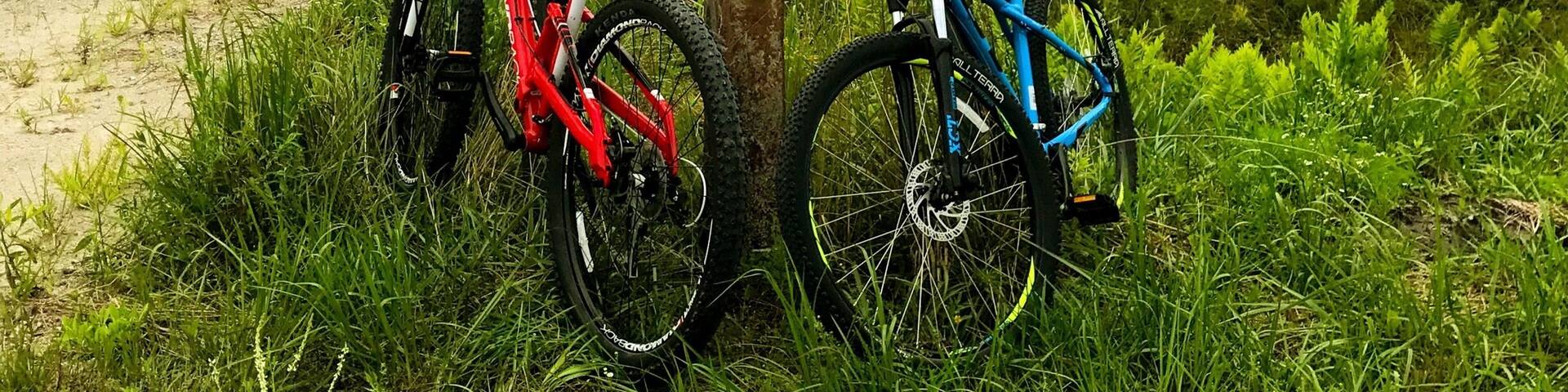 This protected game land is full of wildlife. It's an easy ride on gravel roads with zero traffic.