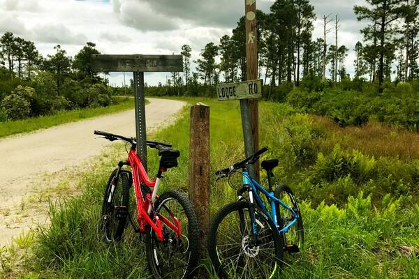 This protected game land is full of wildlife. It's an easy ride on gravel roads with zero traffic.