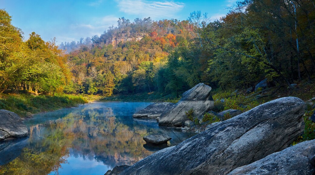 Foggy Morning on The Rockcastle River, KY.