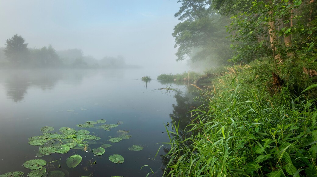 Beautiful foggy morning over the river banks