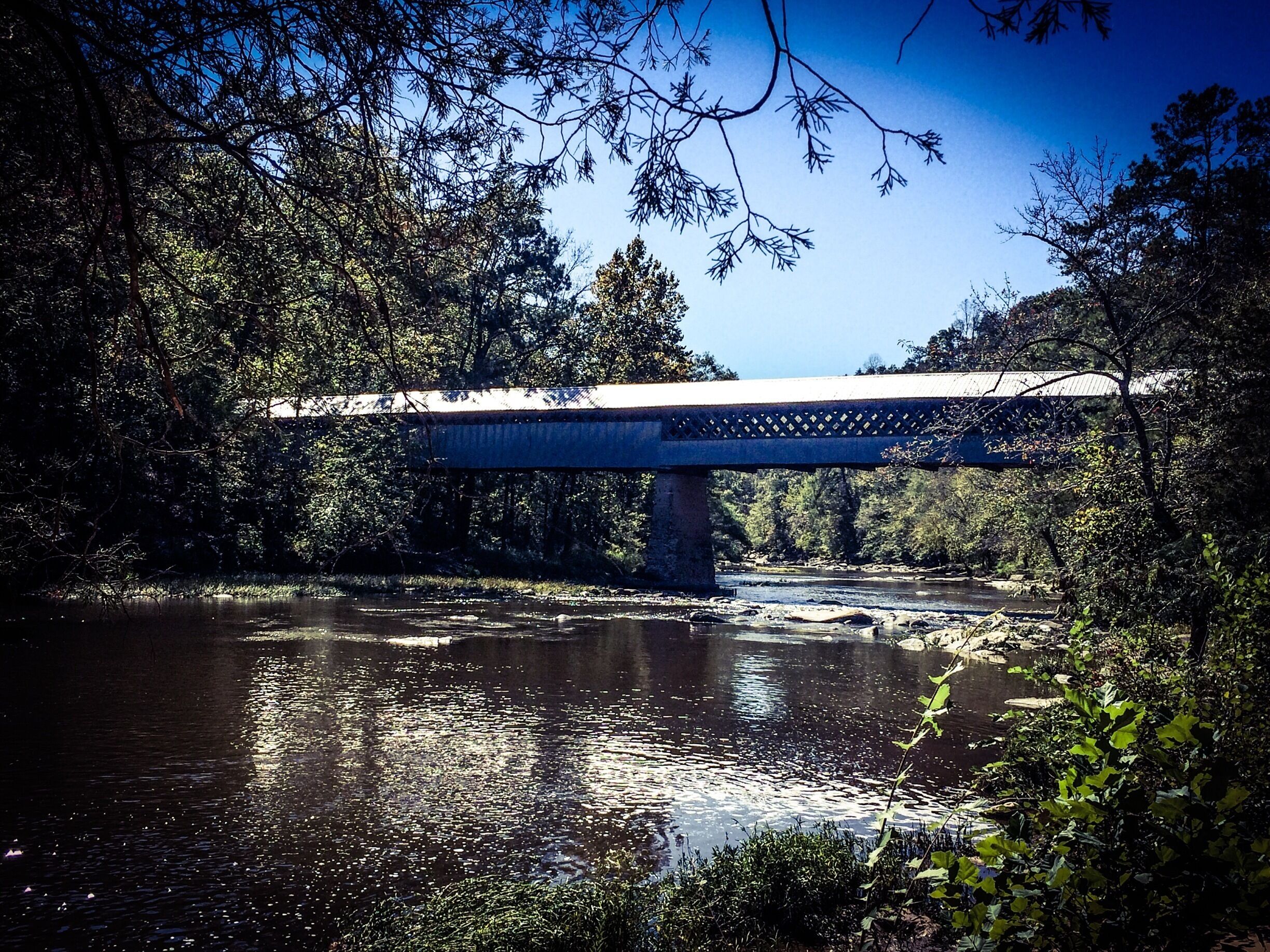 A bridge over a river surrounded by trees.