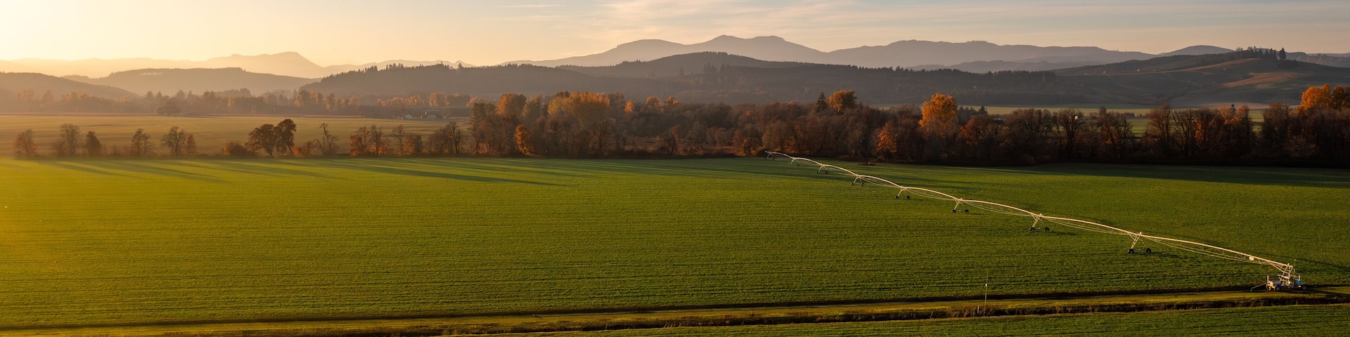 Sprawling Willlamette Valley Grass Seed Field in a Golden Sunset in Fall near Monmouth, Oregon, Pacific Northwest, United States - Aerial Photo