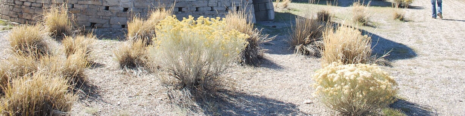 Eastern Nevada, just before Ely off of Highway 93.