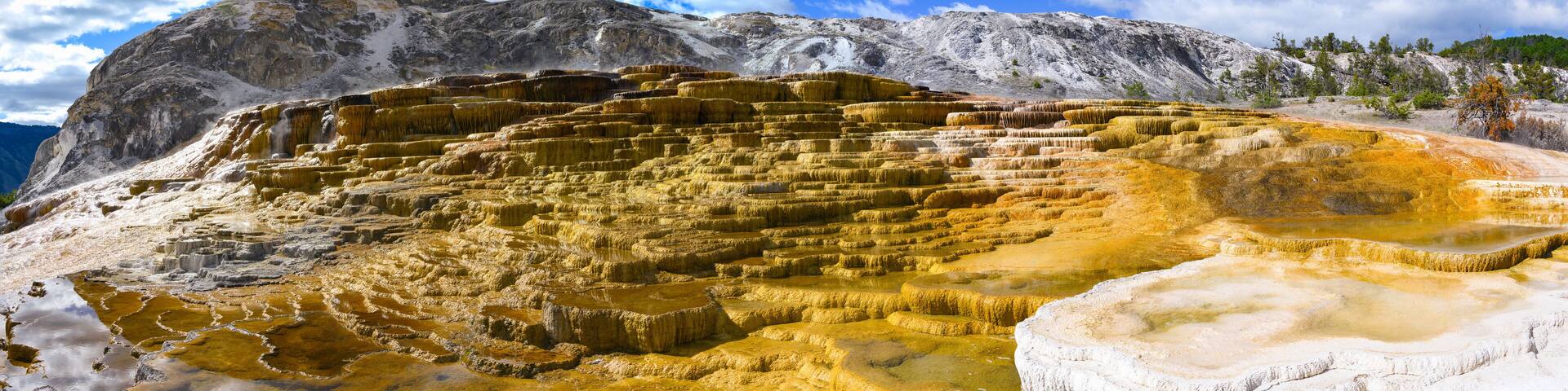 Mammoth Hot Springs, terrace-like cascade of steaming travertine pools in Yellowstone National Park, Park County, Wyoming, USA: The Majestic Panoramic Landscape