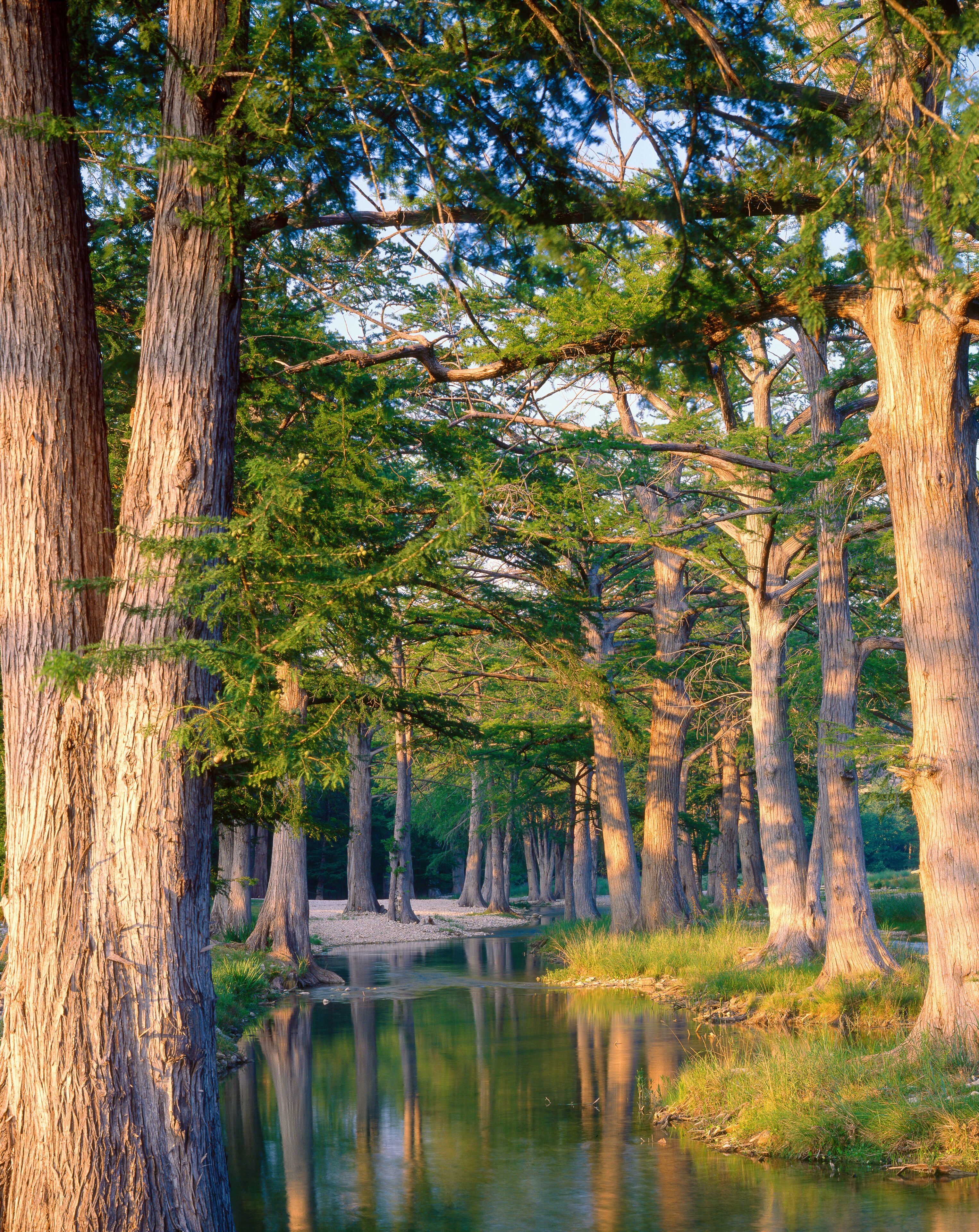 Condado de Guadalupe