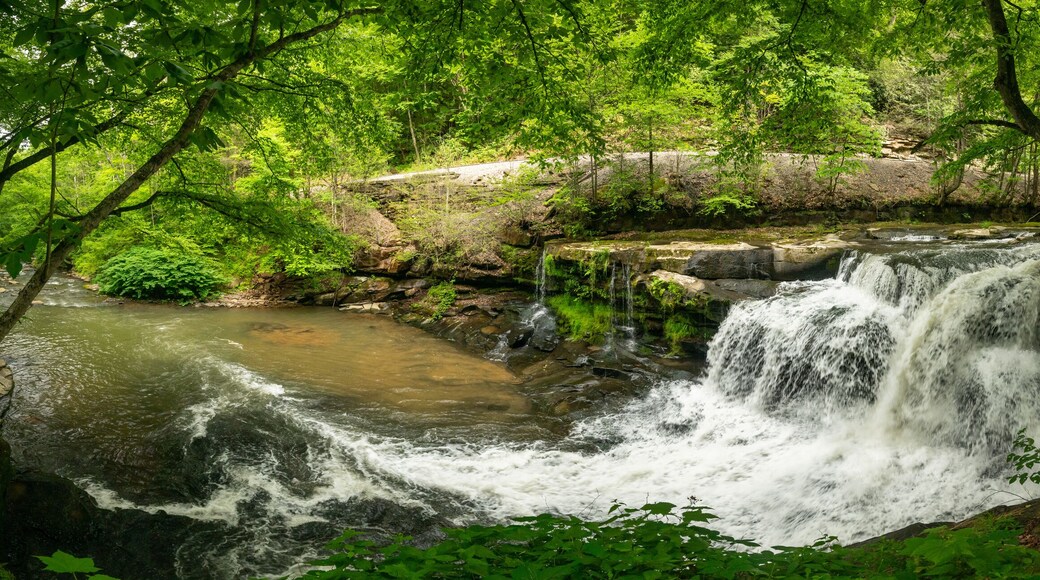 Panorama Of Dunloup Creek Waterfall In New River Gorge