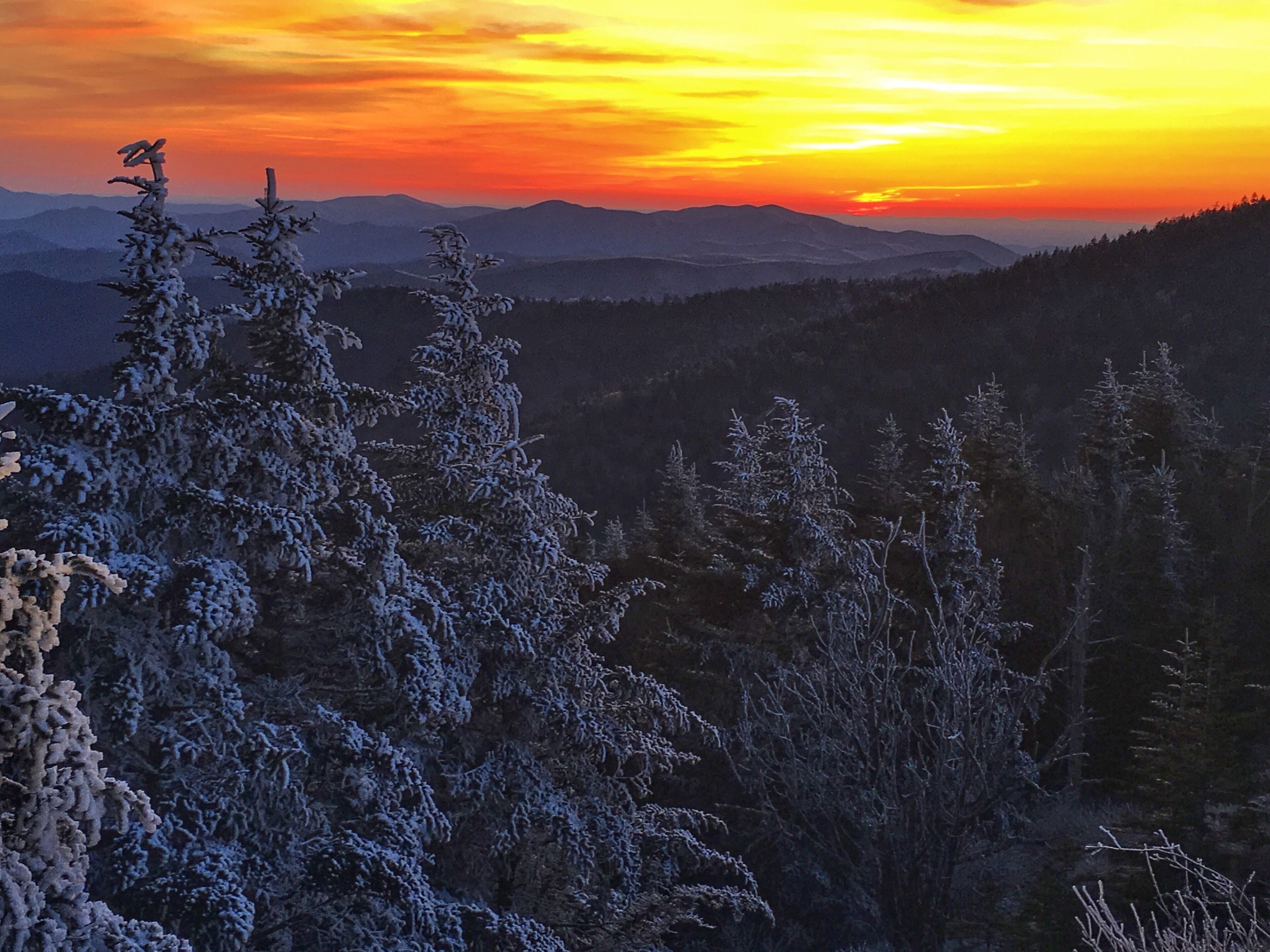 Snow on Clingman’s Dome. Great Smoky Mountains National Park.
