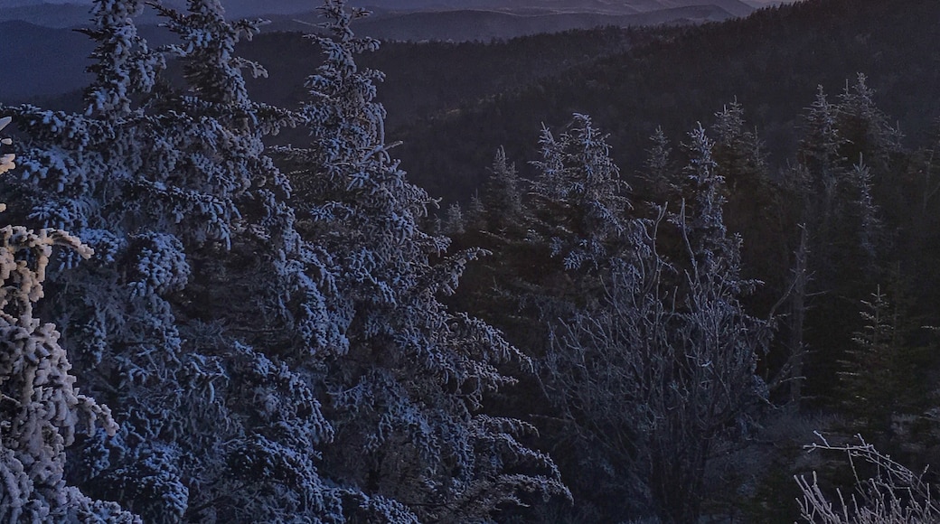 Snow on Clingman’s Dome. Great Smoky Mountains National Park.