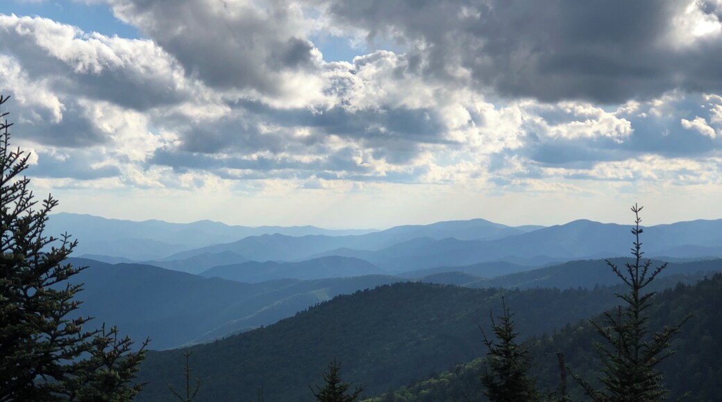 June 2019 Trip to the Smoky Mountains.
View from Clingmans Dome.