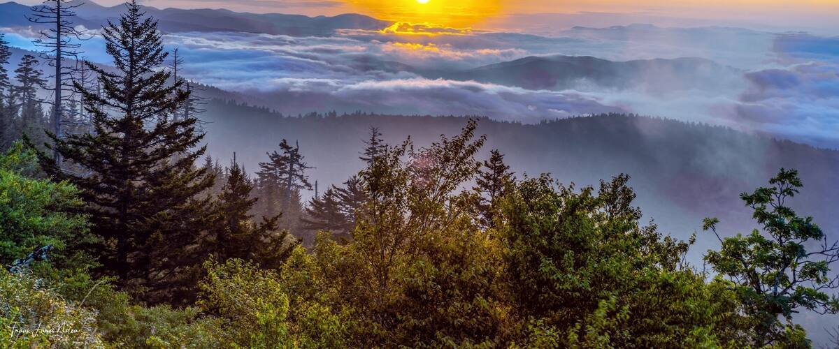 Beautiful spot in the Great Smoky Mountain National Park. #parks #travel