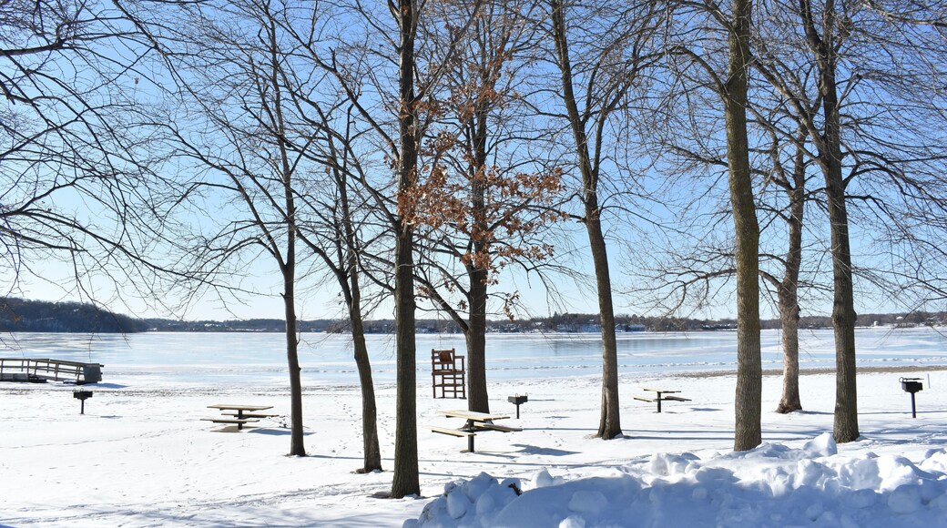 Leafless Trees by a Snowy Minnesota Lake Shore