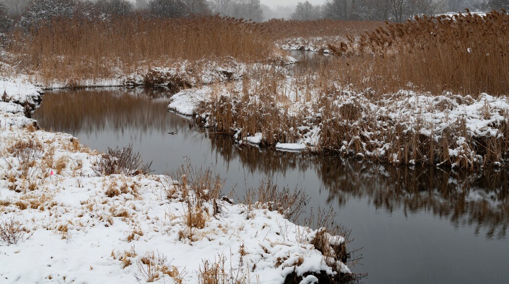 690-07 Rock Run in Winter