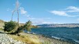 A rocky shoreline with sparse vegetation and a clear blue sky.