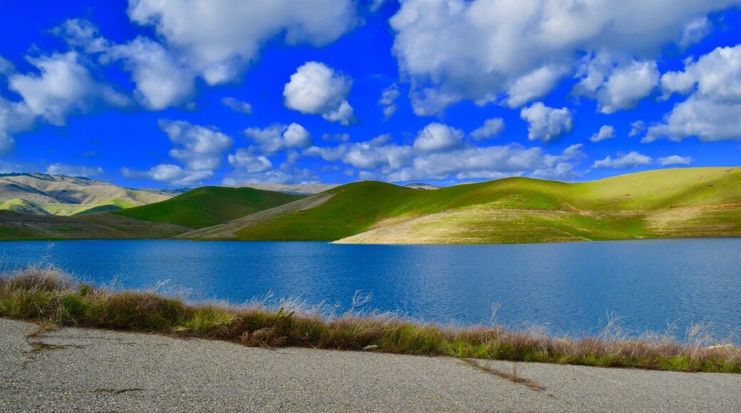 Looks like a Featured Windows Wallpaper.