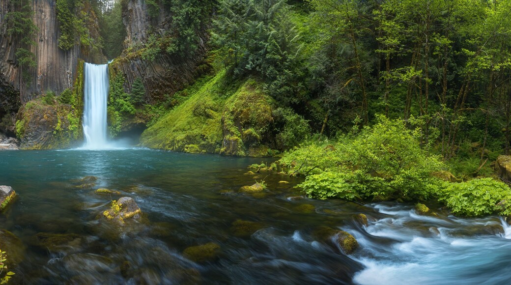 ๋๊ธ๋ผ์ค ์นด์ดํฐ