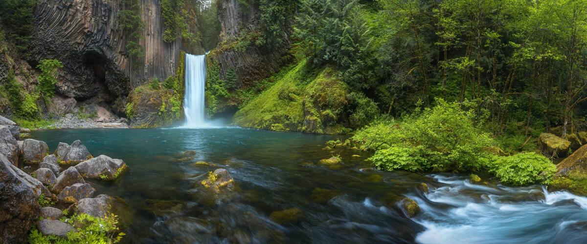 Toketee Falls is a waterfall in Douglas County, Oregon, United States, on the North Umpqua River at its confluence with the Clearwater Rive.r Beautiful falls in forest, West coast USA