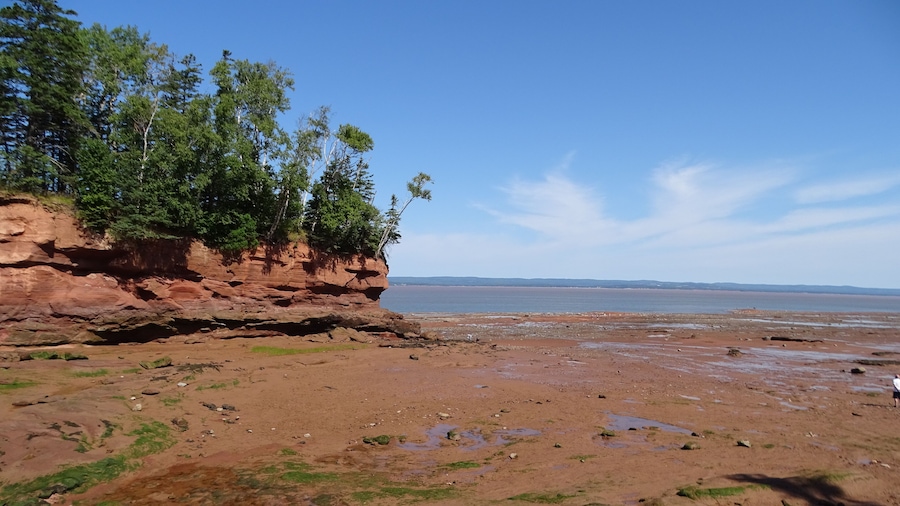 North America, Canada, Nova Scotia Province, Hants County, Burntcoat Head Park, Highest Tides in the World