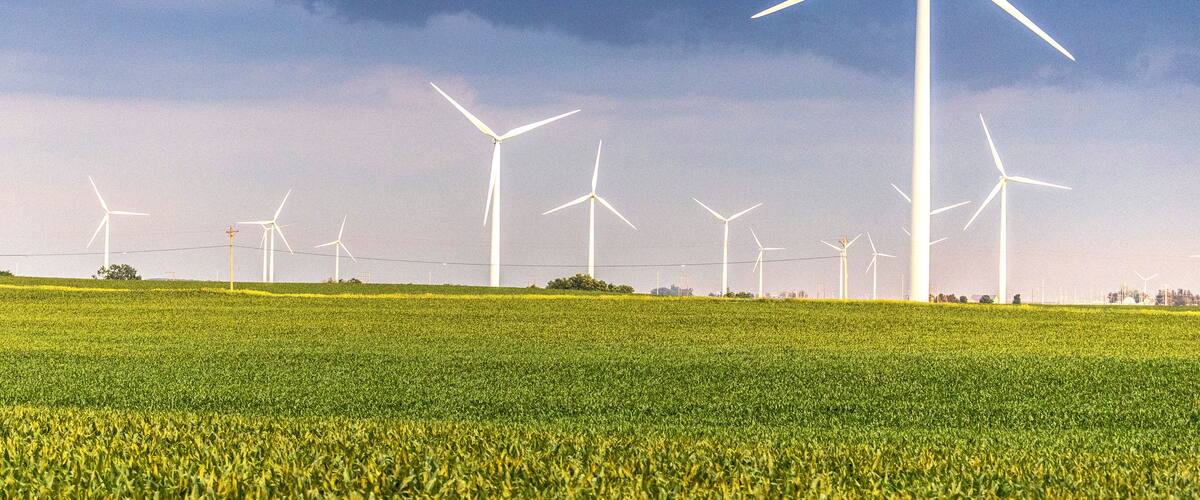 Turbines in the Cornfield A1R_7540